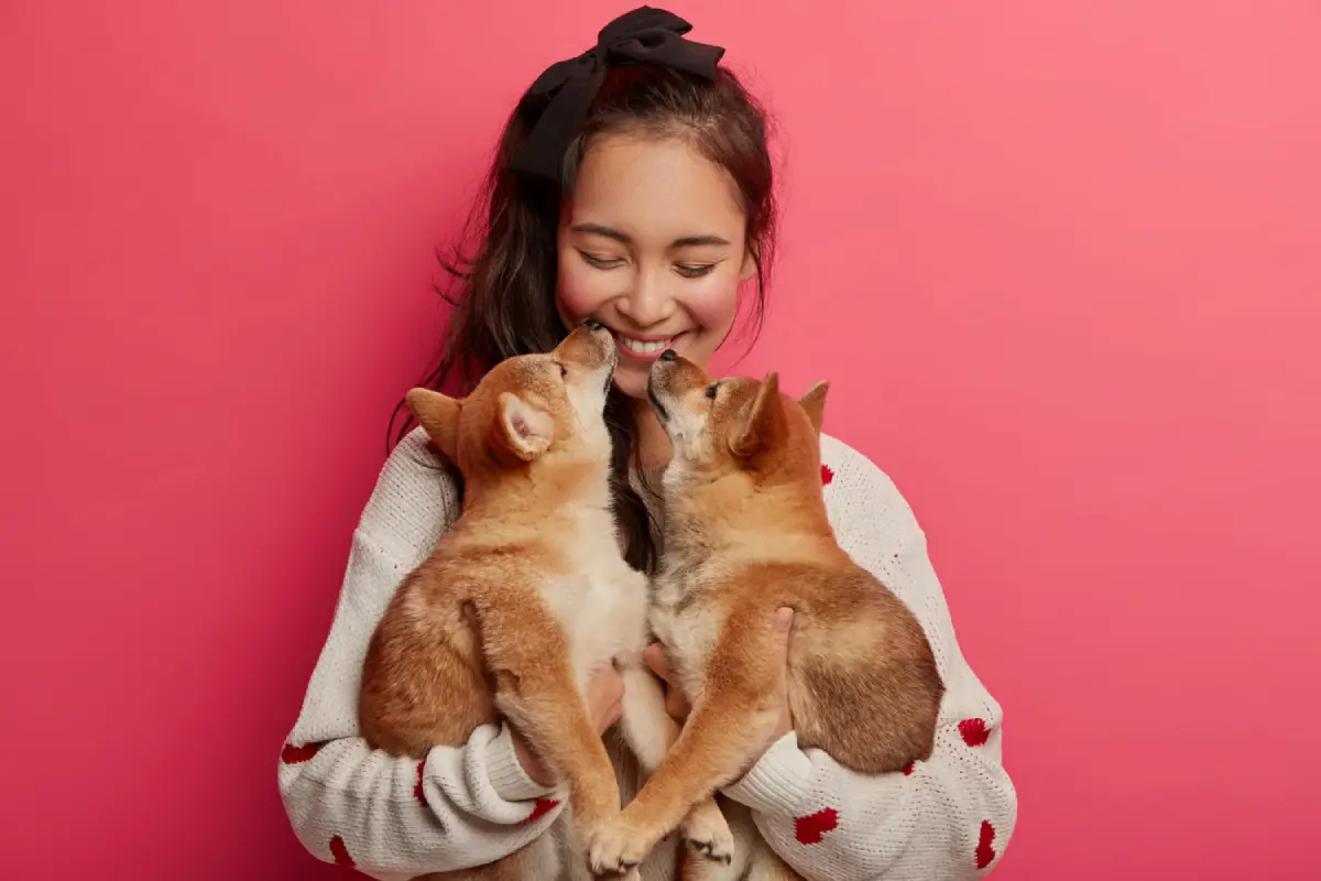 Une jeune femme heureuse câline deux chiens adoptés