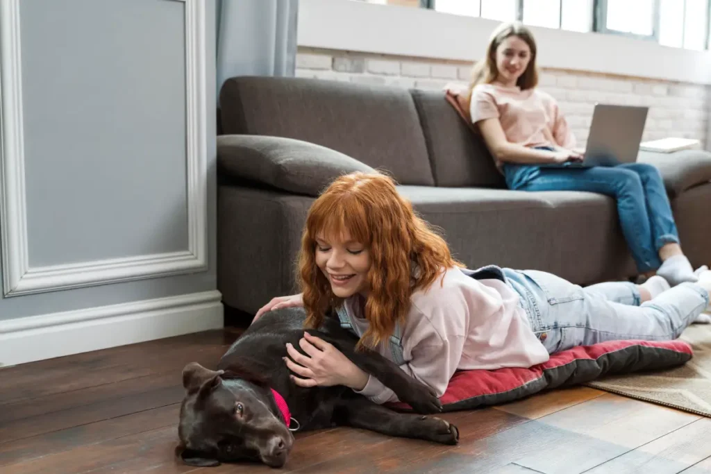 Une jeune fille caresse le nouveau membre de la famille : un chien adopté en refuge